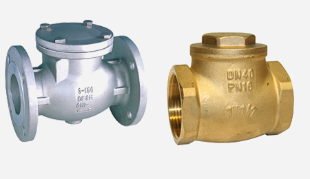 Ashish Engineering Services, Nashik - Check Valves